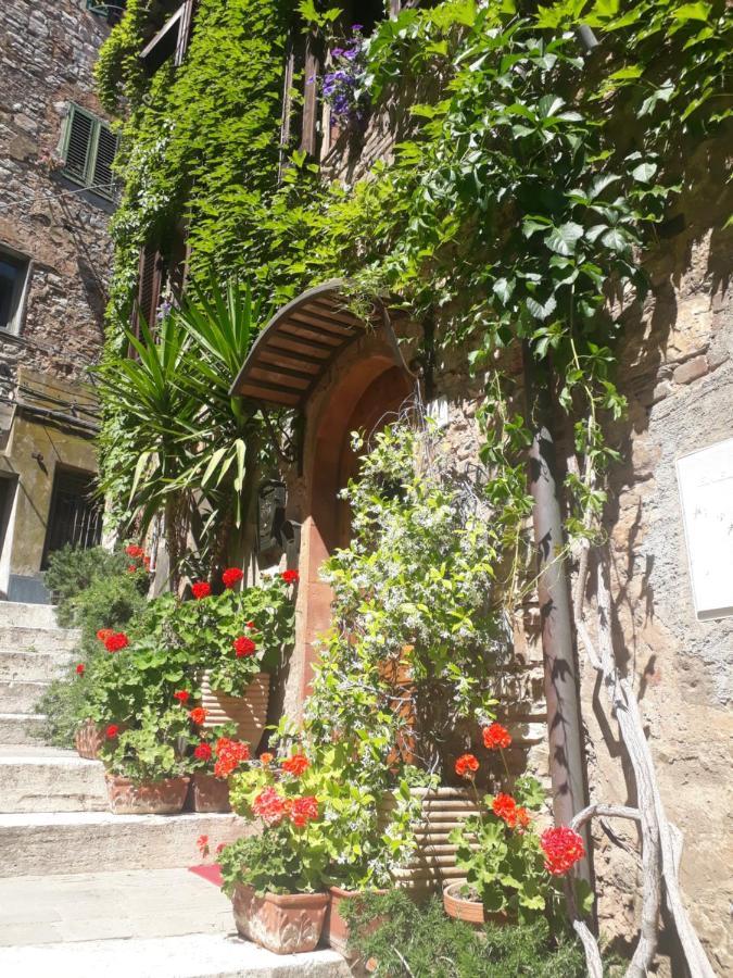 La Piazzetta Toscana B&B Campiglia Marittima Εξωτερικό φωτογραφία
